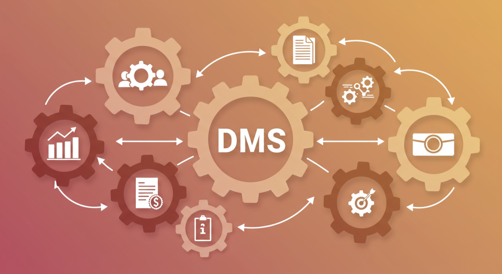 dms software