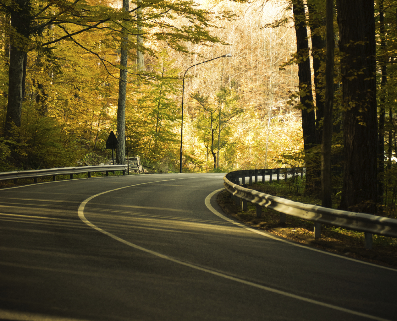 iStock_000014671877Medium